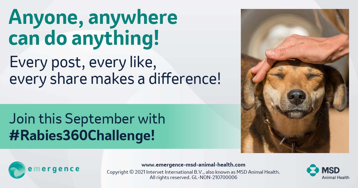 MSD Animal Health takes on #Rabies360Challenge | Vet Times MSD Animal Health takes on #Rabies360Challenge | Vet Times