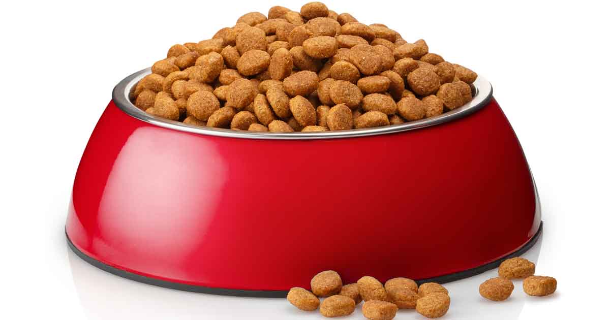 Image: Yeti Studio / Adobe Stock pet food bowl