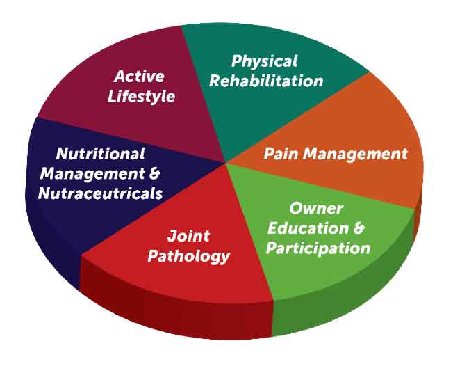 Figure 1. Diagram outlining the key strategic components of effective OA management (modified from Palmer and Churchill, 2019).