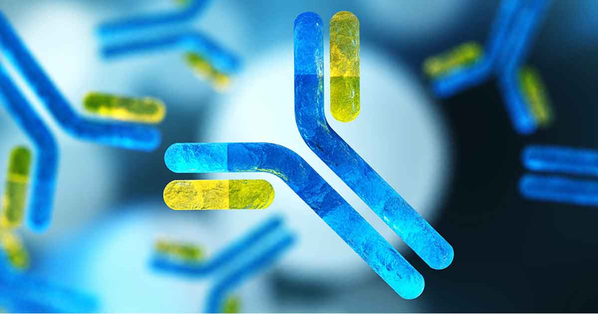 molecules monoclonal antibody antibodies Image: © ustas / Adobe Stock