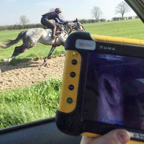 Figure 1. A horse undergoing exercising overground endoscopy during normal training.