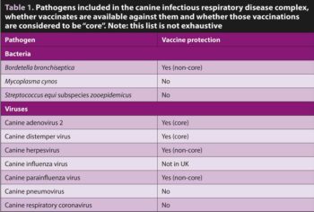Table 1. Pathogens included in the canine infectious respiratory disease complex, whether vaccinates are available against them and whether those vaccinations are considered to be “core”. Note: this list is not exhaustive