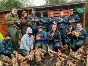 The student vets volunteered at a British Hen Welfare Trust rehoming day.