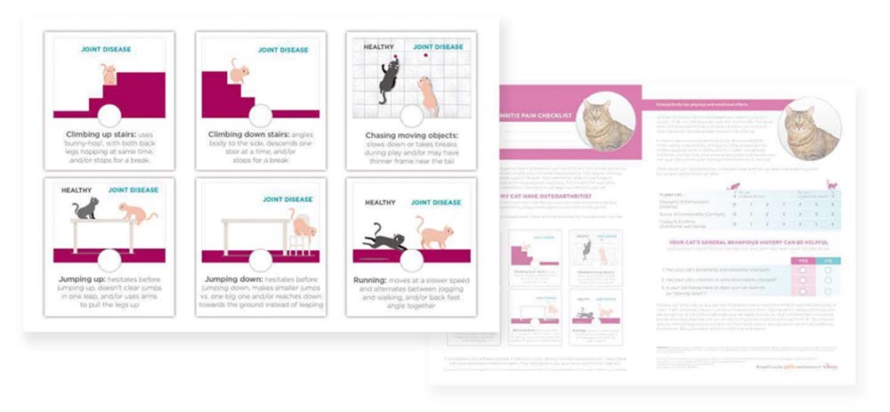 Figure 2. Zoetis owner questionnaire.