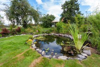 Restoring natural habitats is not beyond our veterinary brief: for gardens, and the land around clinics and hospitals, choose indigenous, insect-friendly plants for pollinators and ponds for biodiversity. Image: © brizmaker / Adobe Stock