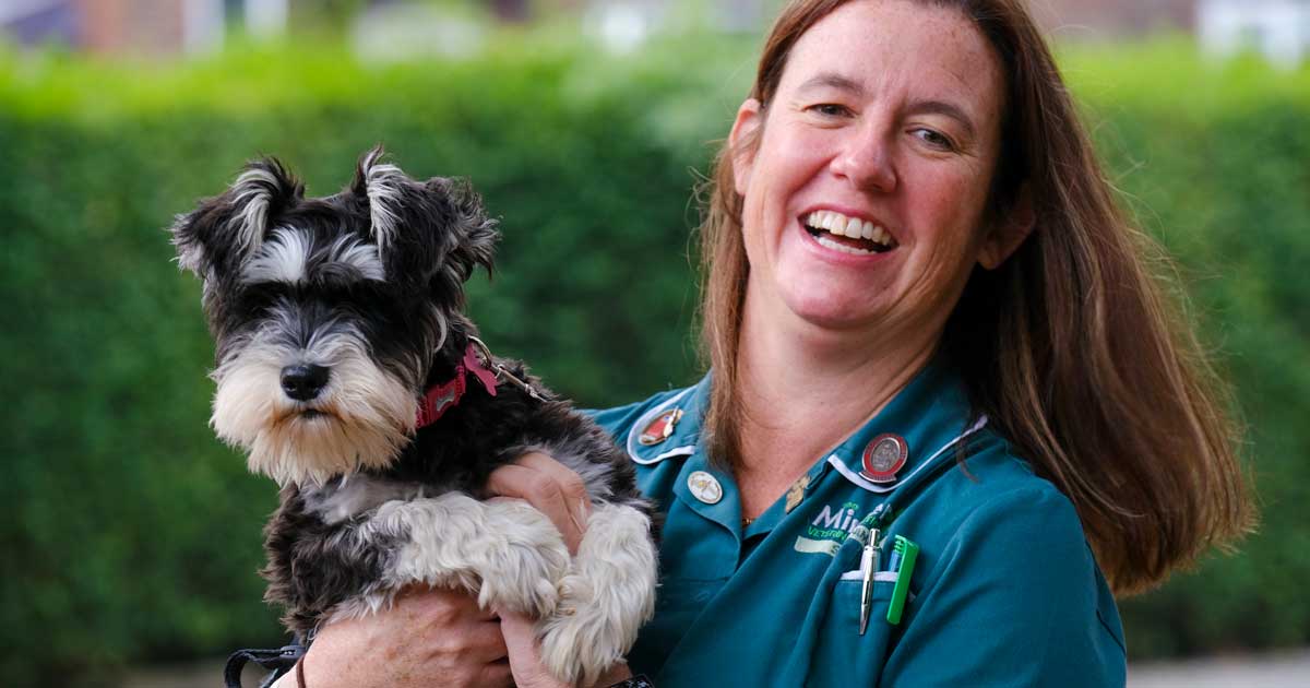Vet nurse celebrates 'amazing' 25 years in dream role | Vet Times Vet nurse celebrates 'amazing' 25 years in dream role | Vet Times