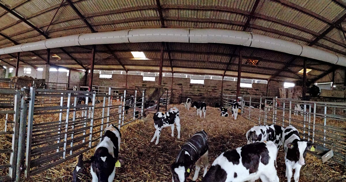 Figure 1. A fan tube installed to increase air flow into a calf shed.