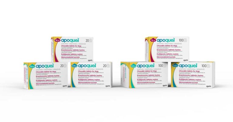 Green Light For Apoquel Chewable Tablets Vet Times