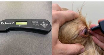Figure 2. Pachymeter. 2a. Modern pachymetry devices use ultrasound to accurately measure corneal thickness. 2b. A pachymeter in use on a patient.