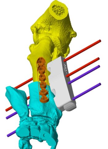 3D printer images of Baxter's leg. Image: Vets Now.