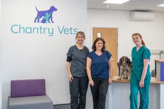 Wakefield sales veterinary clinic