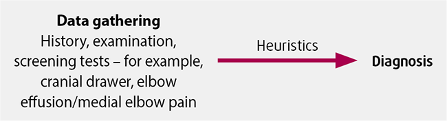 Figure 1. Medical decision-making: with experience we can often find ourselves using heuristics to make a diagnosis based on the “shape” of the presentation. This approach comes with confidence, but does have dangers (adapted from Trimble and Hamilton, 2016).