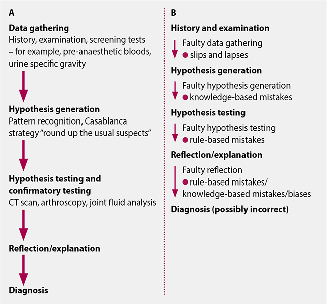 Figure 2. The process of decision-making showing (A) the standard diagnostic process and (B) some of the errors that remain possible, even with a systematic approach to reaching a diagnosis.