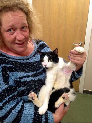 Figure 5. Smudge on day 52. After 45 days of hospitalisation, Smudge has managed to return home safe and sound. He has returned here for a final check of his wounds seven days post-discharge. Patches of mild alopecia on his forehead and his right paw are also visible where other lesions were present.