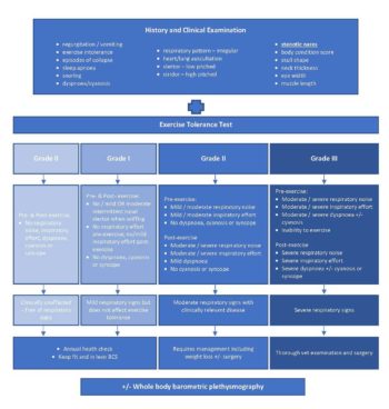 Figure 2. Flowchart for grading cases of upper airway obstruction.