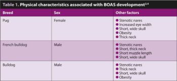 Table 1. Physical characteristics associated with BOAS development2,4.