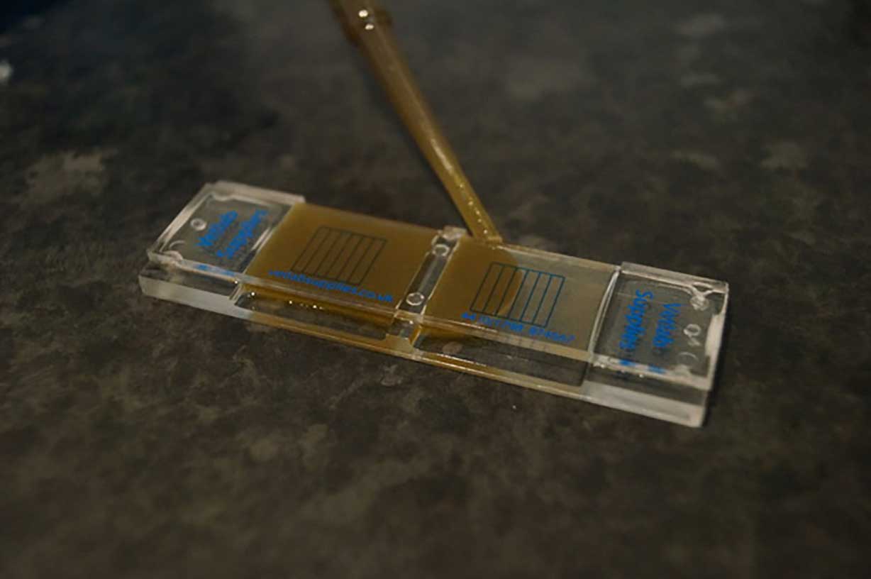 Figure 1. Faecal worm egg counts should be central to any parasite control programme through the grazing season.