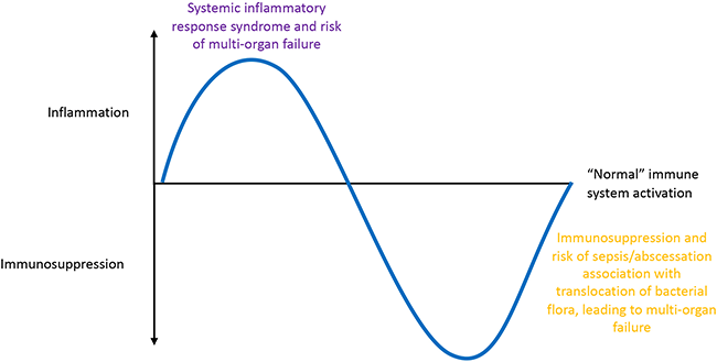 Figure 1. Impact of acute severe pancreatitis on immune function in people (based on Zerem, 2014).