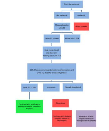 Figure 2. Modified water deprivation test. Can be used instead of a water deprivation test, or subsequently if indicated (Figure 1). Aim = to assess renal concentrating ability, or differentiate between diabetes insipidus and renal medullar washout. Begin only following prior assessment for renal failure, pituitary pars intermedia dysfunction and other systemic disease. Contraindicated if patient dehydrated or evidence exists of renal disease.