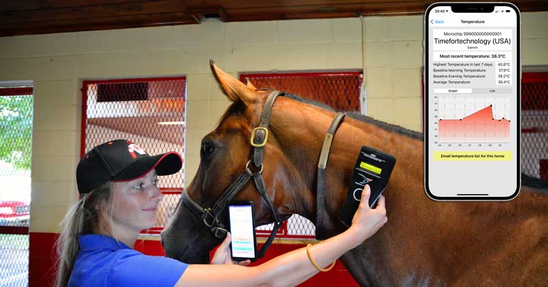 A temperature chart on a horse being scanned.