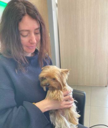 Eleonora with her Yorkshire terrier Lusik, which was collected by an APHA official in Calais on 24 April after a three-day delay in the French channel port.