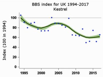 Figure 3a. The British Bird Survey results for the kestrel for the whole of the UK show a fall of 35 per cent in the kestrel population. On each graph, the dark green line is the smoothed trend, the blue dots are the unsmoothed trend, and the pale green line is the upper and lower 95 per cent confidence limits of the smoothed trend.