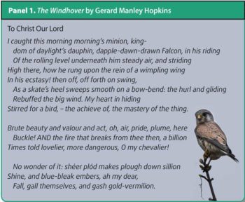 Panel 1. The Windhover by Gerard Manley Hopkins.