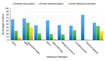 Figure 1. The prevalence of positive herds, and farmer beliefs, for common infectious pathogens in GB dairy herds (non-vaccinated) based on bulk tank antibody tests (from Velasova et al, 2017).