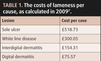 Table 1. The costs of lameness per cause, as calculated in 20097.