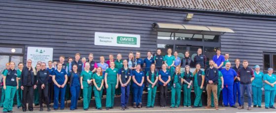 The Davies team, including head of nursing Lillian Twigg (fourth from right) with some of the RVNs at Davies.