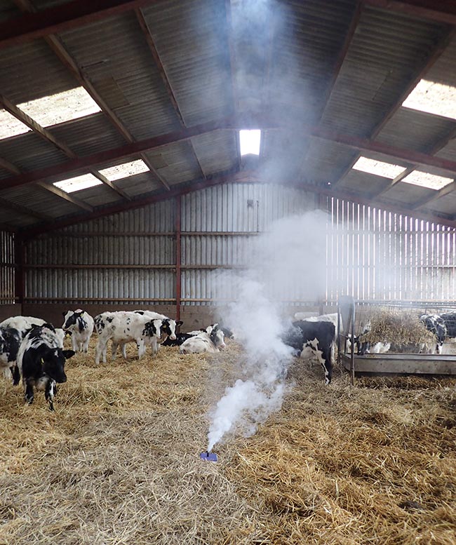 Smoke bombs can be used to demonstrate problems with ventilation in sheds.