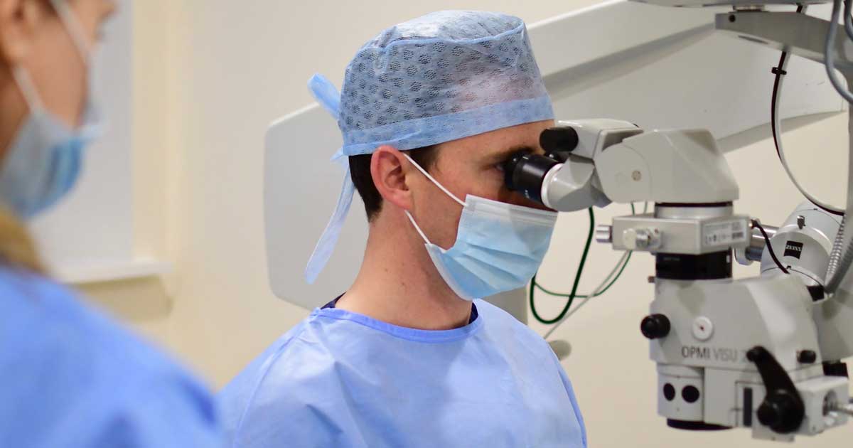 What Is The Success Rate Of Cataract Surgery For Dogs