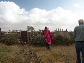 The Maasai people in east Africa uses “boma” enclosures to protect livestock from predators.