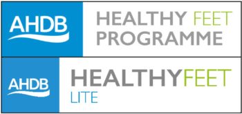 Figure 5. New logos for the Healthy Feet Programme and Healthy Feet Lite.