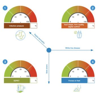 Figure 4. A graphic in the lameness map.