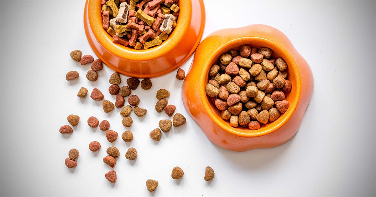 Hill’s Pet Nutrition debuts enhanced Prescription Diet range