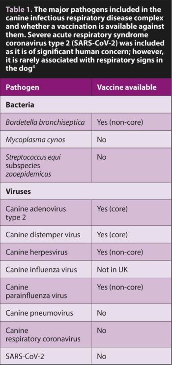 Table 1. The major pathogens included in the canine infectious respiratory disease complex and whether a vaccination is available against them. Severe acute respiratory syndrome coronavirus type 2 (SARS-CoV-2) was included as it is of significant human concern; however, it is rarely associated with respiratory signs in the dog4.