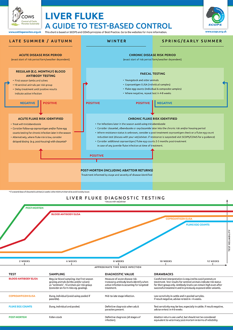 Figure 3. Control of Worms Sustainably and Sustainable Control of Parasites in Sheep guide to test-based control in fluke.