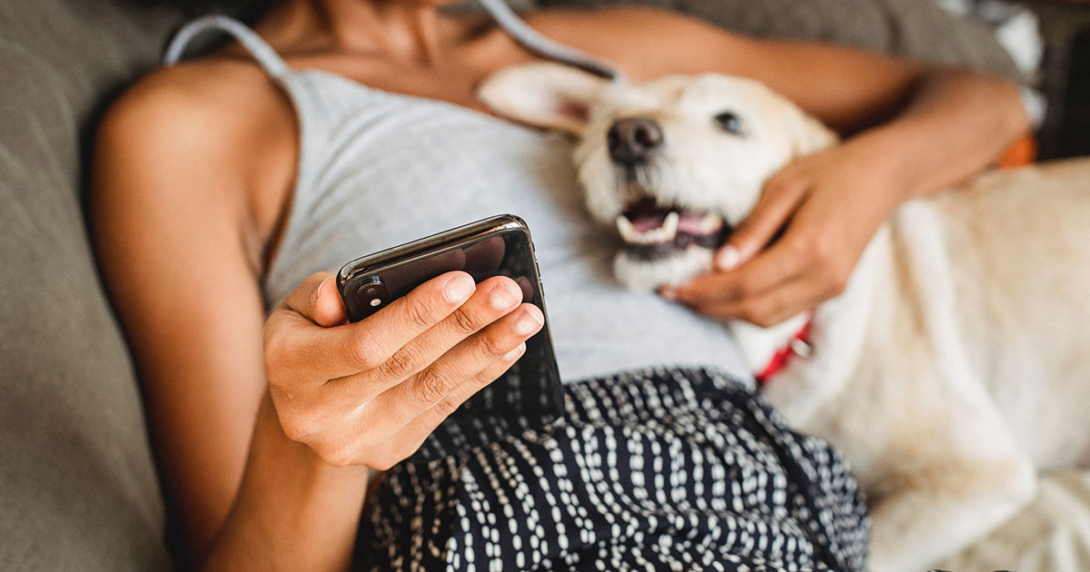 MWI launches new client engagement tool | Vet Times MWI launches new client engagement tool | Vet Times