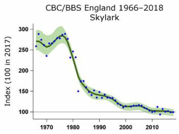 The Common Birds Census (CBC) and Breeding Bird Survey (BBS) are the most reliable sources of data on the health of bird populations across the UK. The data from these two studies are combined to derive joint CBC/BBS trends, extending from the 1960s to the present day. Indices are plotted on the graphs as annual estimates with a smoothed trend and its 85 per cent confidence interval. The key information this graph helps us to appreciate is the extent to which skylark populations have collapsed over the past 50 years, and the extent to which the current (human) generation is disconnected from the biodiversity crisis because we have no lived experience of healthy baselines with our children growing up without the sound of skylarks bringing them joy.