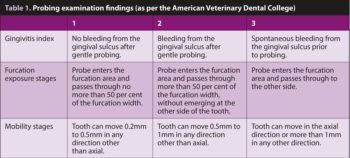 Table 1. Probing examination findings (as per the American Veterinary Dental College)