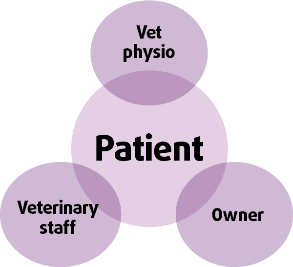 Figure 1. The overlap between the owner, vet and therapist, who all need to work together to deliver optimum results.