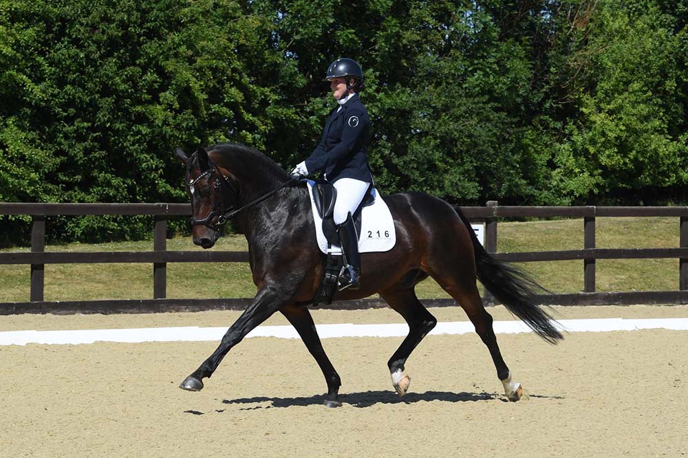 Dressage combines balance, suppleness and power. Image © LRG Photography