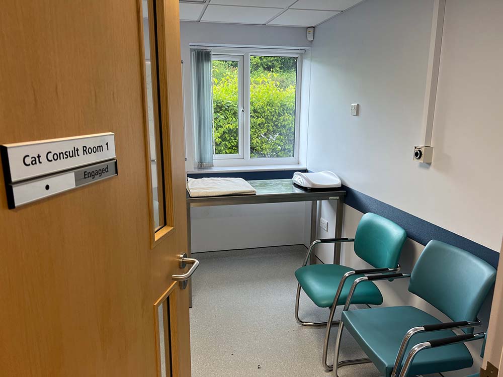 A cat consult room.