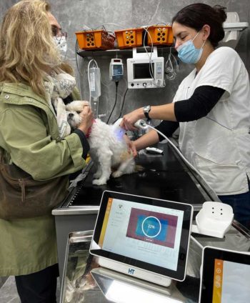 Vets using the scanner.