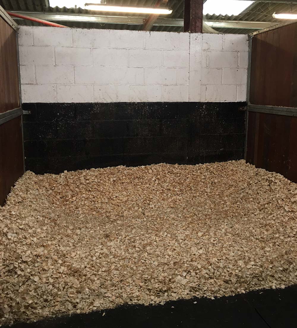 Dust-free shavings or paper bedding are recommended if horses are to be stabled.