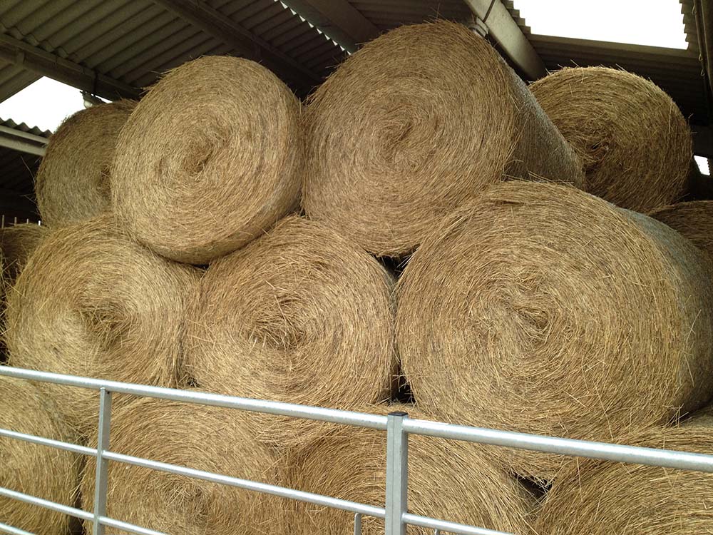 Storage areas for hay and bedding should be a good distance from stables.
