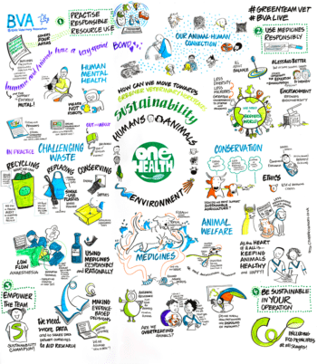 A sustainability illustration created by the BVA following feedback from attendees at BVA Live on how the veterinary profession could become greener.