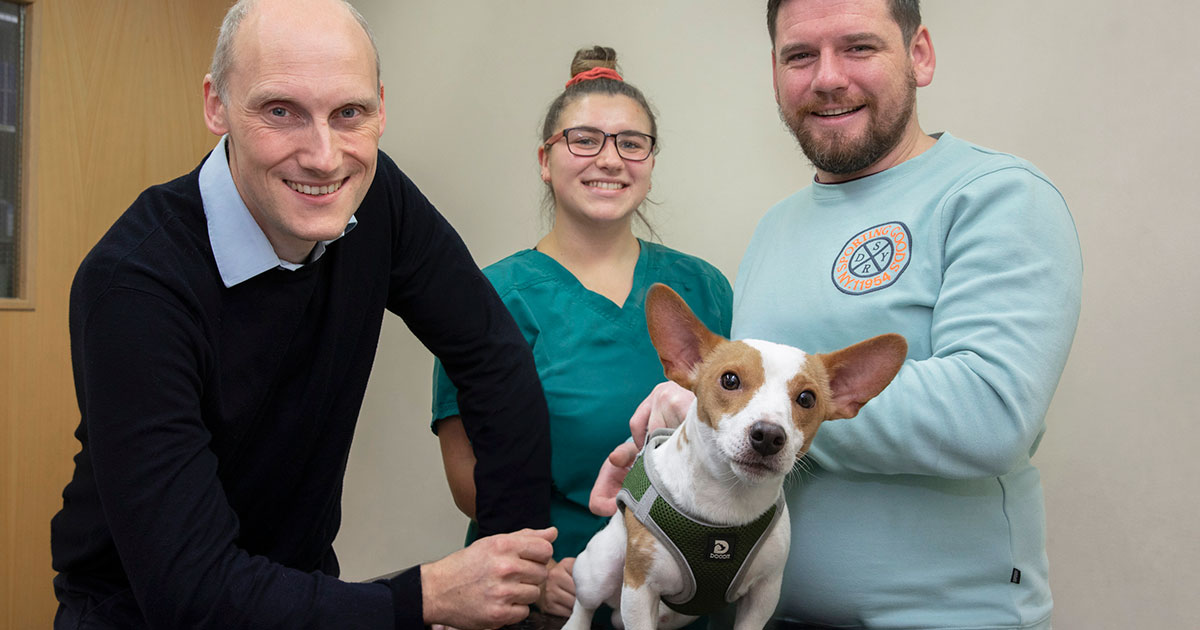 George deals jack russell