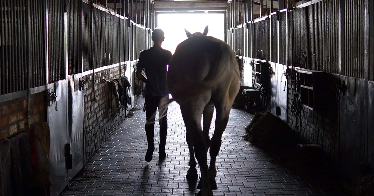 James Crabtree Vet Times